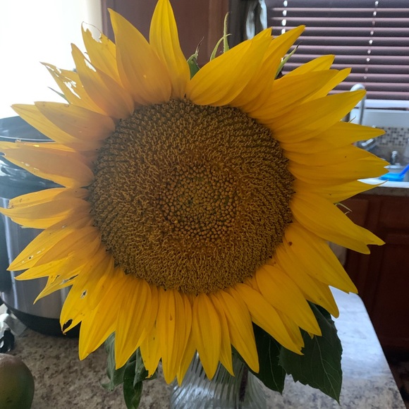 Meet your Posher, Maria - Picture 2 of 5